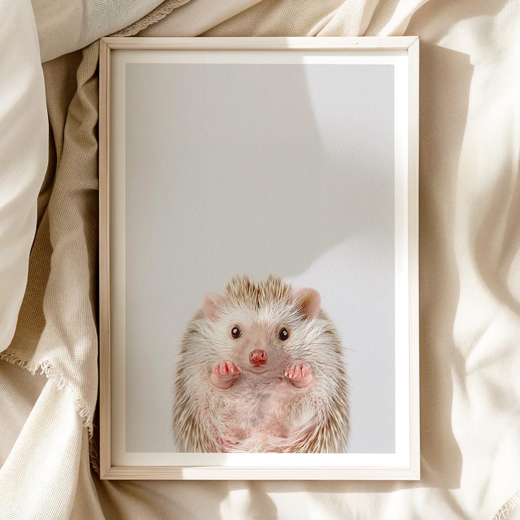 BABY HEDGEHOG • Cute Nursery Wall Art • Baby Animals Art Print
