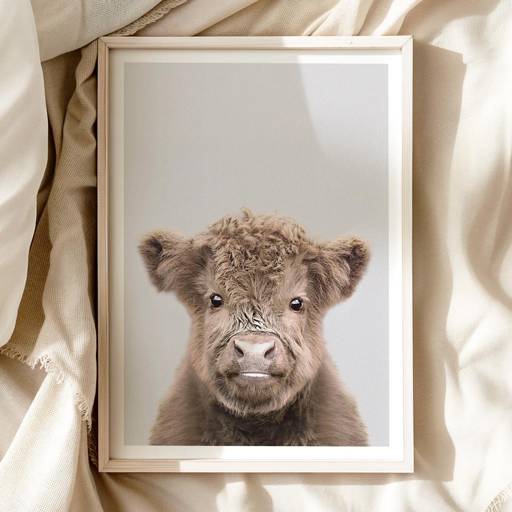 HIGHLAND CALF • Gentle Nursery Wall Art • Baby Animals Art Print