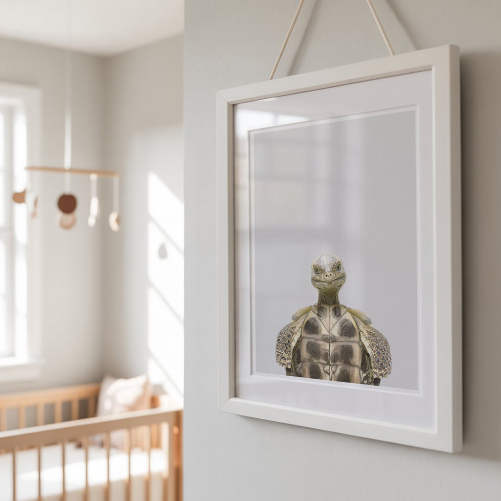 OLD TORTOISE • Nursery Wall Art Print • Playful Modern Style