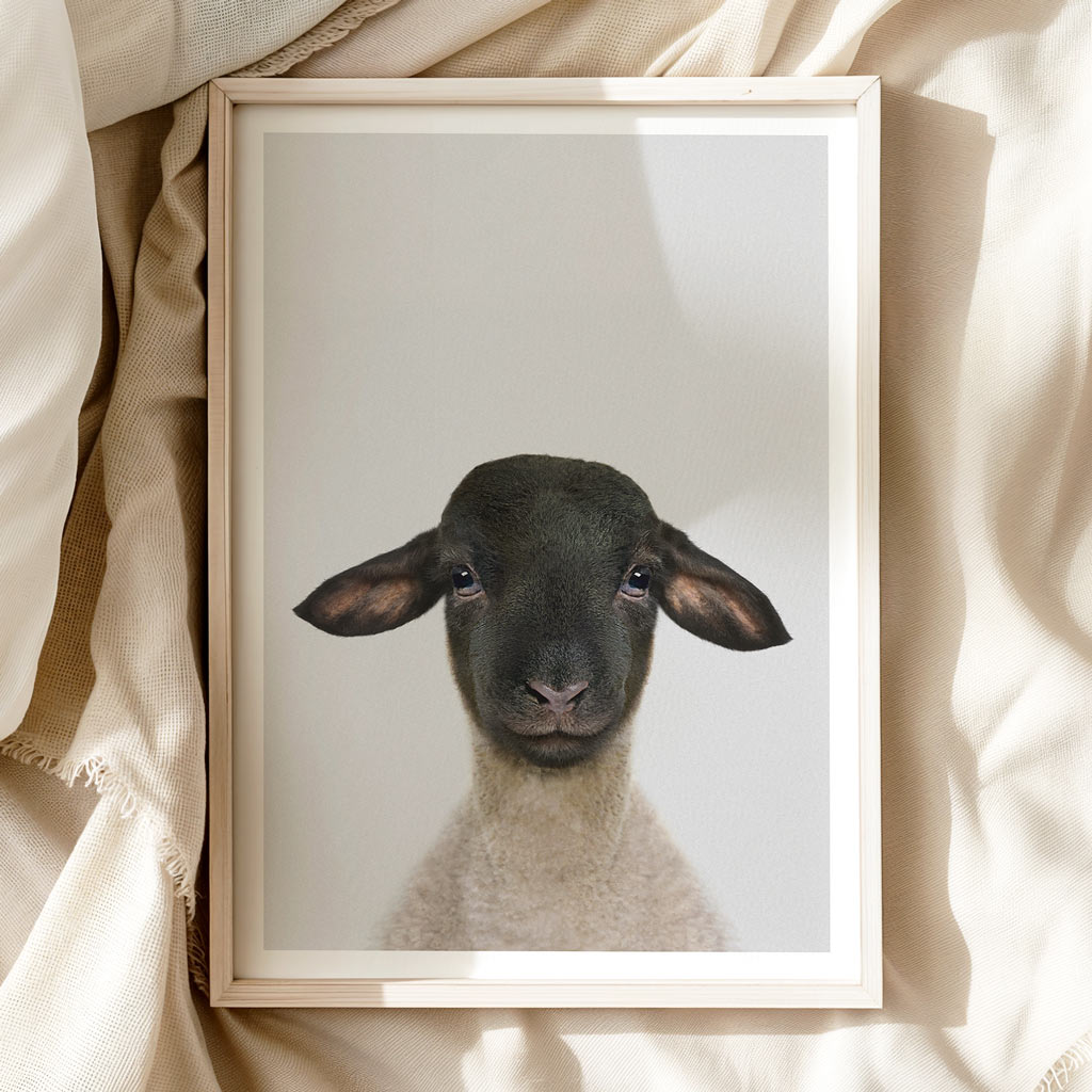 SWEET SUFFOLK LAMB • Animal Nursery Wall Art Print • Calm Neutral Tones