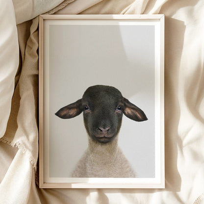 SWEET SUFFOLK LAMB • Animal Nursery Wall Art Print • Calm Neutral Tones