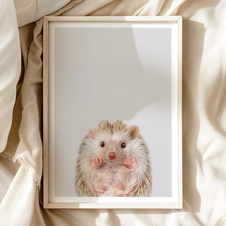 Nursery Art - 'Baby Hedgehog'