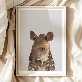 Nursery Art - 'Baby Tapir'