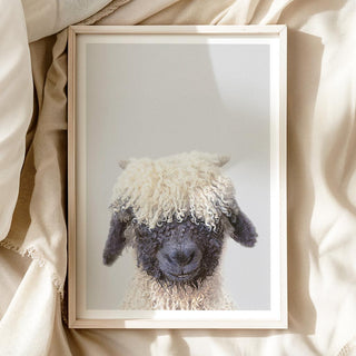 Nursery Art - 'Black Nose Sheep'