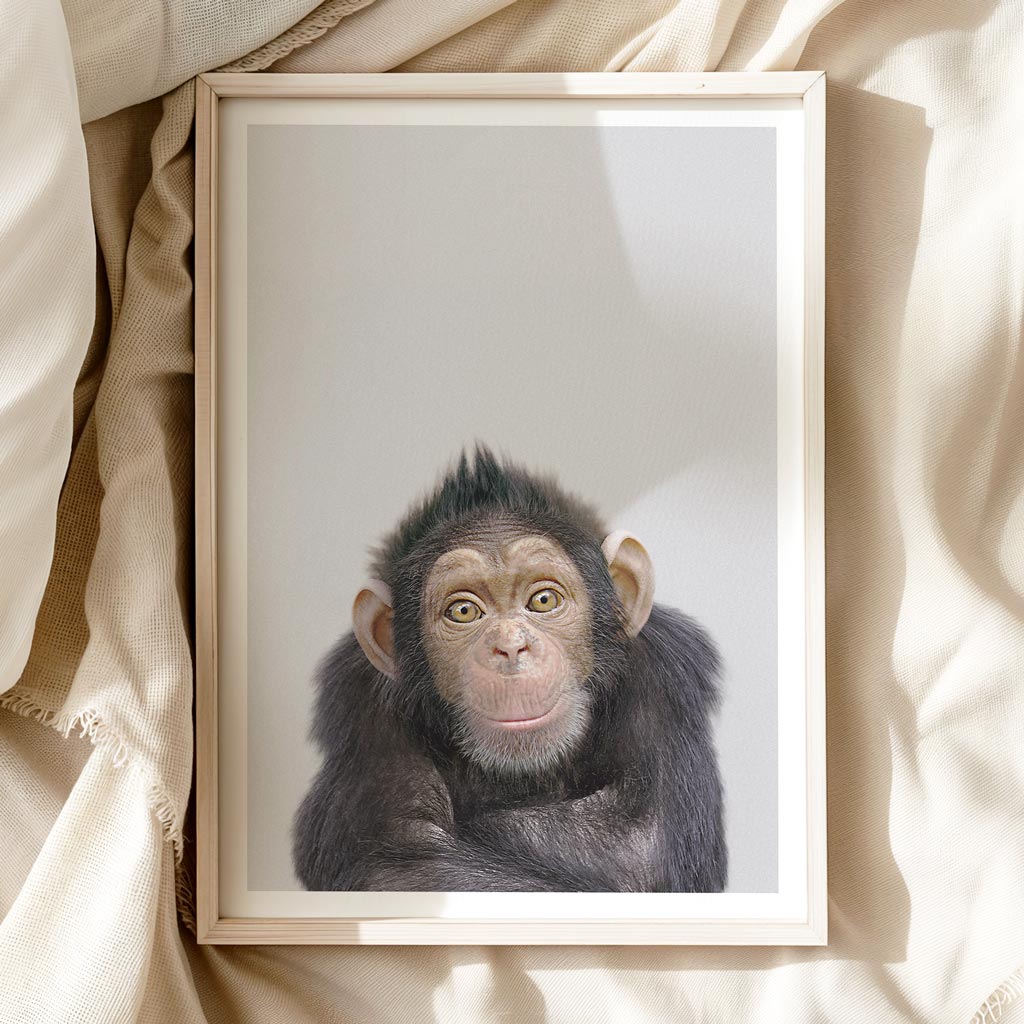 CHEEKY CHIMP • Animal Wall Art • Nursery Monkey Art Print