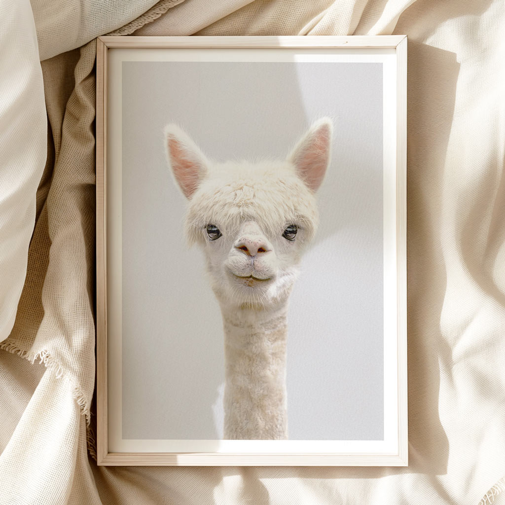 Alpaca Nursery Print Whimsical Animal Wall Art for Kids