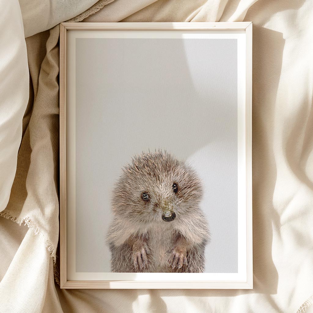 BASHFUL HEDGEHOG • Woodland Nursery Wall Art • Animal Art Print