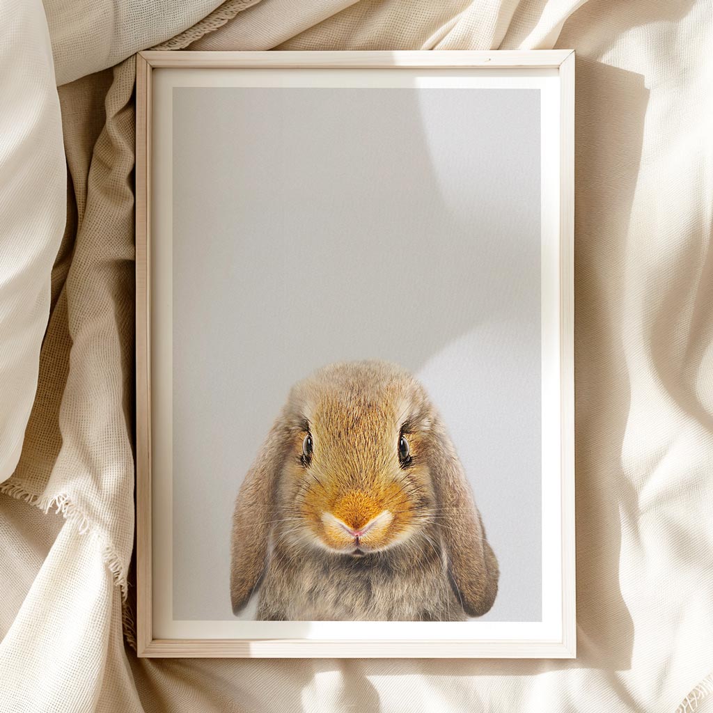 LOP EARED BUNNY • Nursery Wall Art • Rabbit Animal Art Print