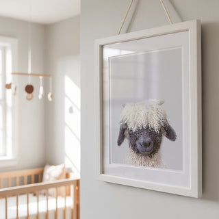 Playful Blacknose Lamb Print