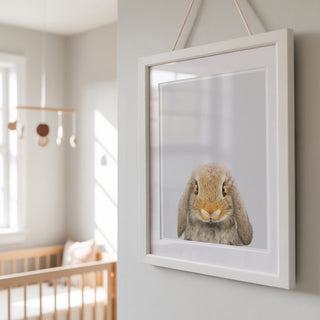 Huggable Lop Rabbit Print