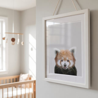 Playful Red Panda Print