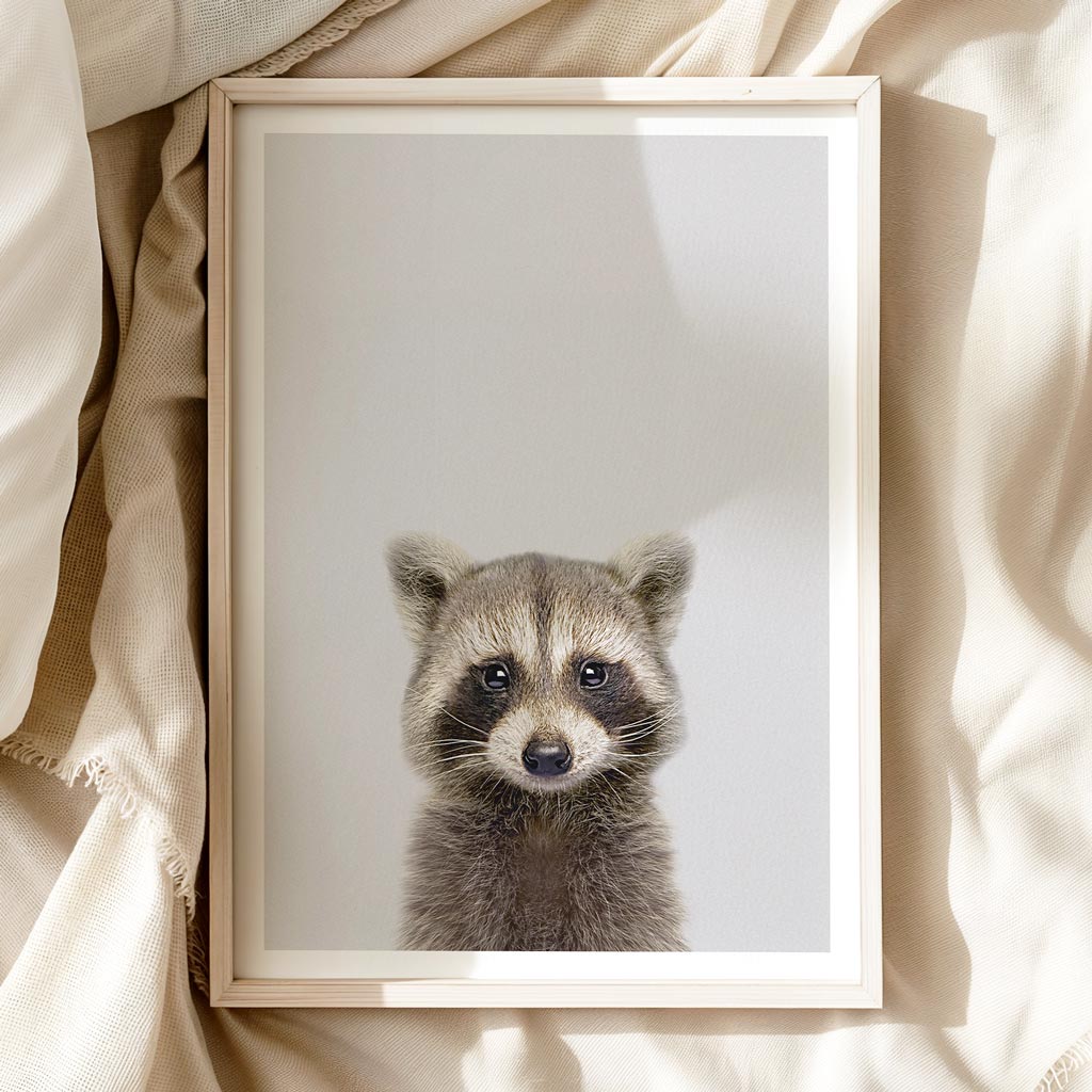 CURIOUS RACCOON • Nursery Wall Art • Animal Art Print