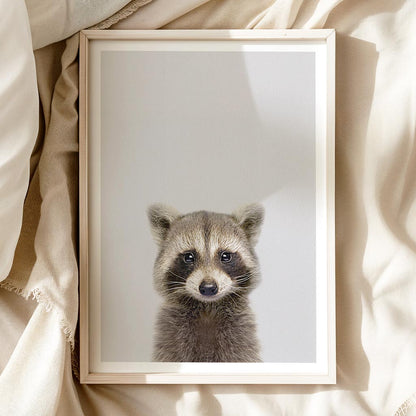 CURIOUS RACCOON • Nursery Wall Art • Animal Art Print