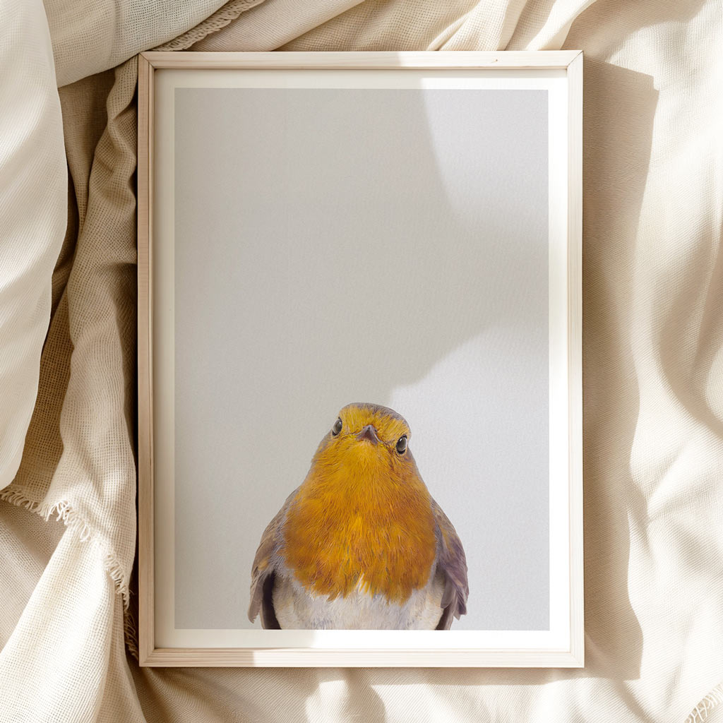 TINY ROBIN • Neutral Nursery Wall Art • Modern Animal Art Print