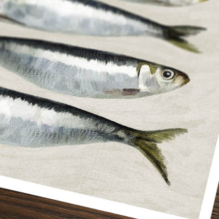 Sardine Décor Print – Contemporary Kitchen Wall Art