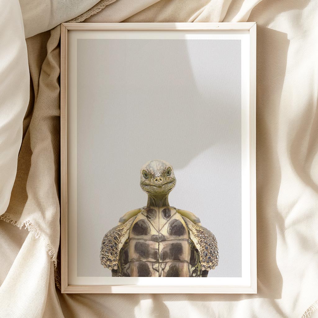 OLD TORTOISE • Nursery Wall Art Print • Playful Modern Style